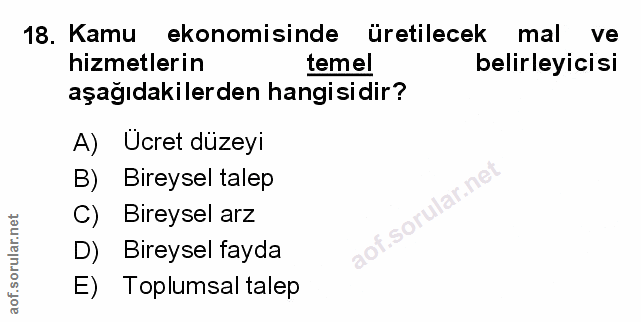 Soru 18