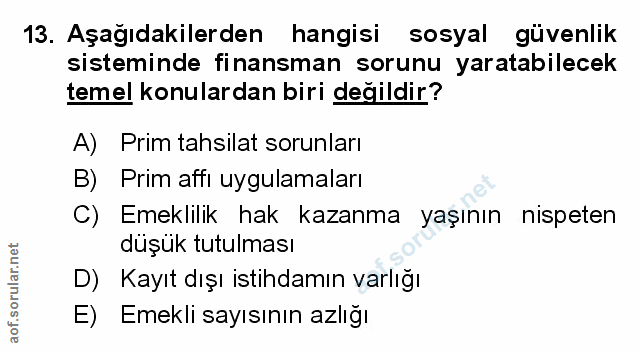 Soru 13