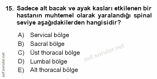 Soru 15