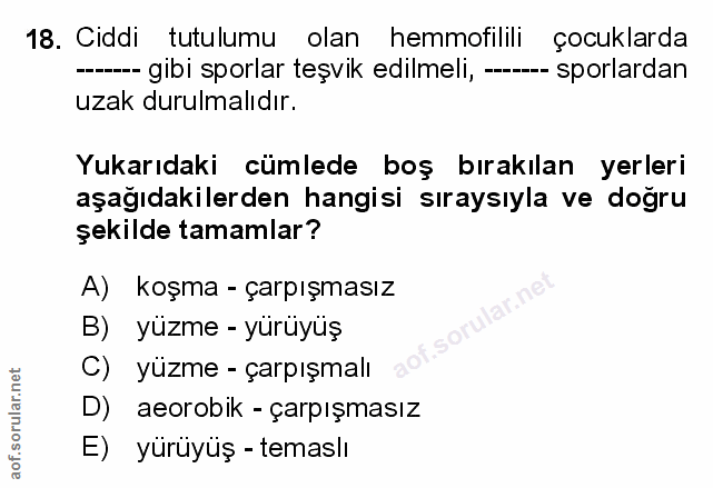 Soru 18
