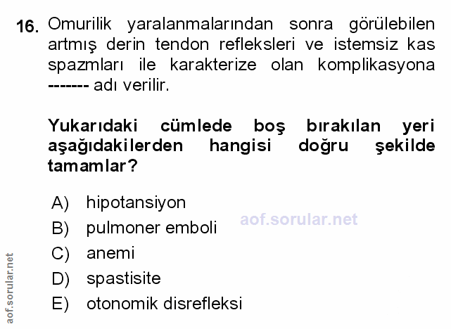 Soru 16