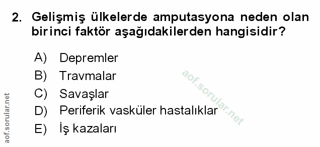 Soru 2