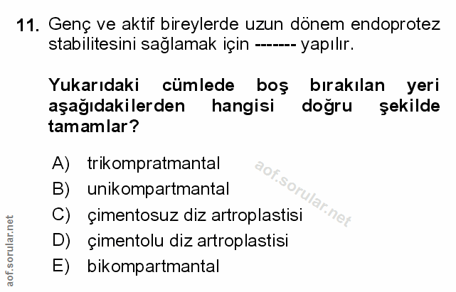 Soru 11