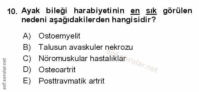 Soru 10