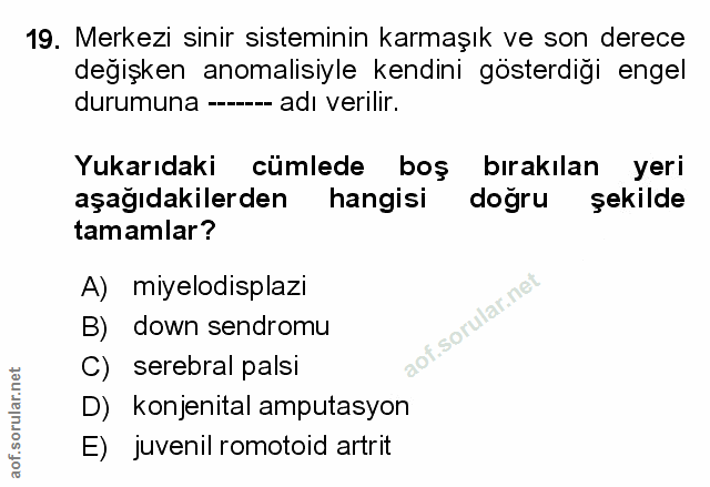 Soru 19