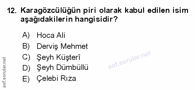 Soru 12