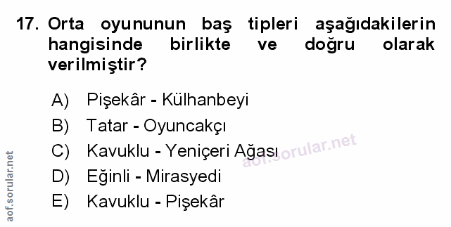 Soru 17