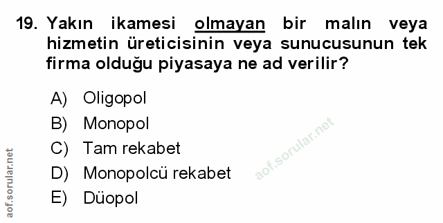 Soru 19