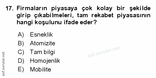 Soru 17
