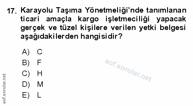 Soru 17