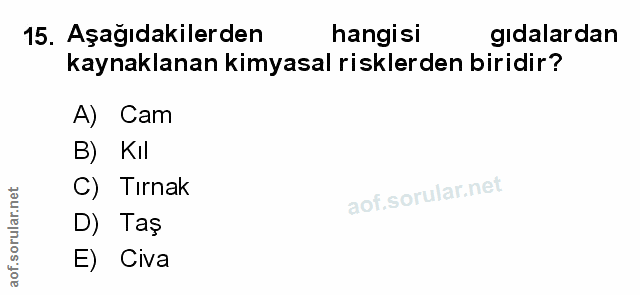 Soru 15