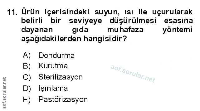 Soru 11