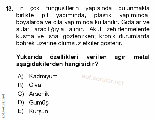 Soru 13