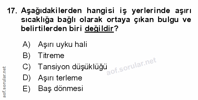 Soru 17