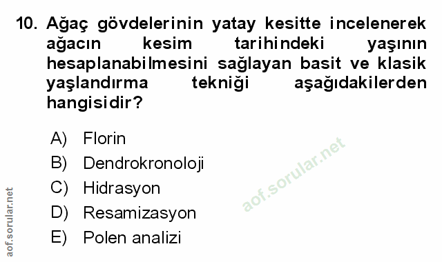 Soru 10
