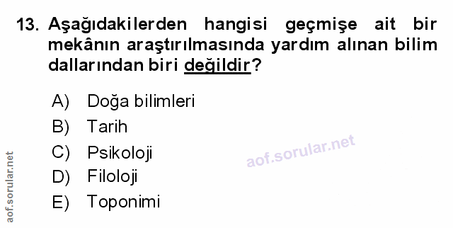 Soru 13