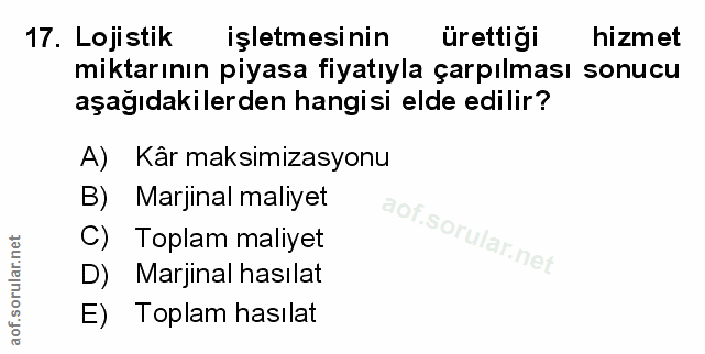 Soru 17