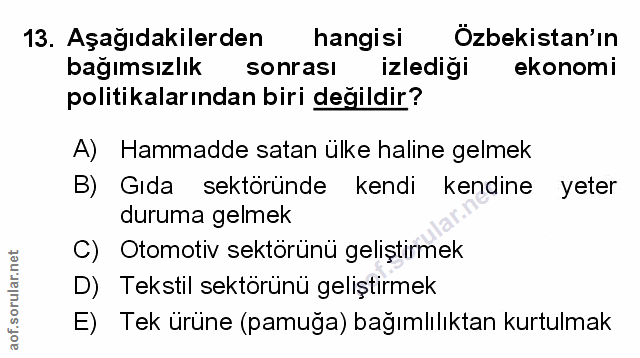 Soru 13