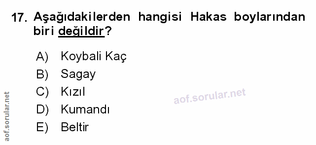 Soru 17