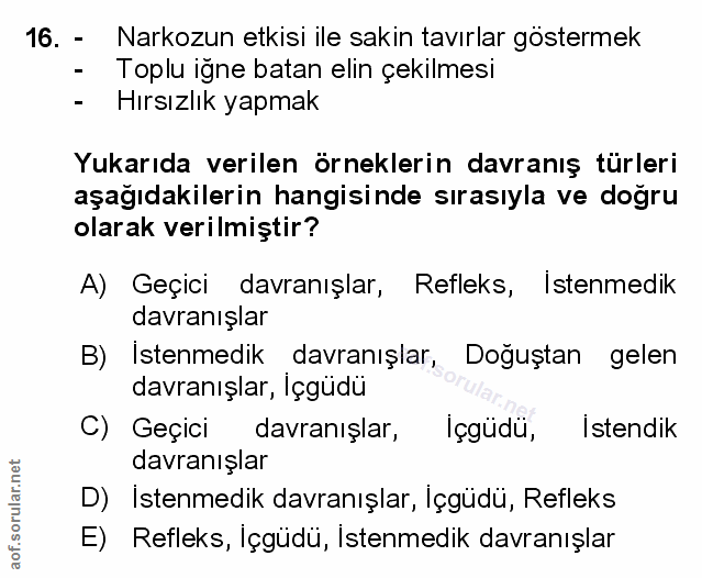 Soru 16