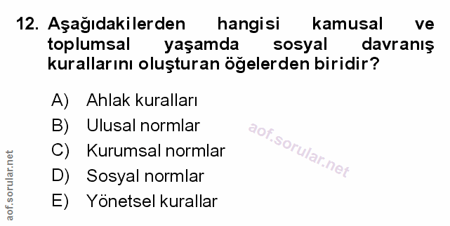 Soru 12