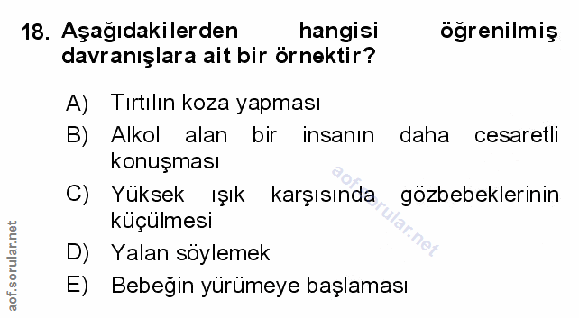 Soru 18
