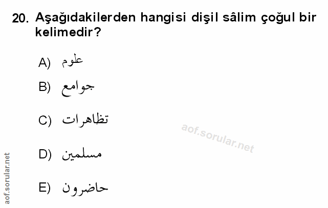 Soru 20