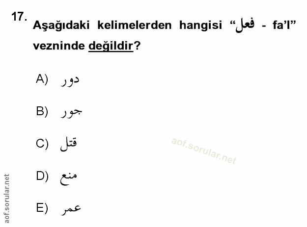 Soru 17