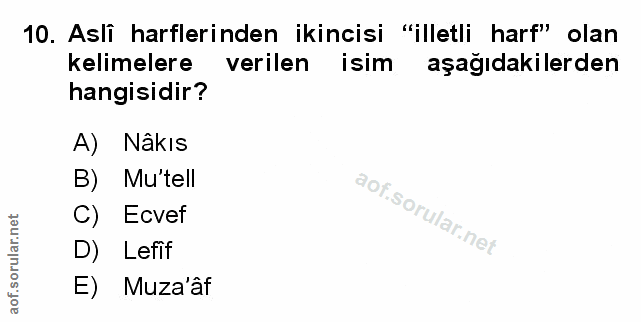Soru 10