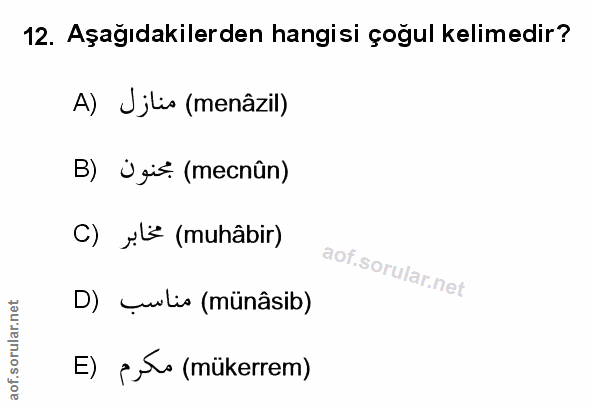 Soru 12