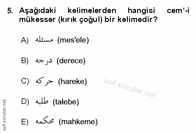 Soru 5