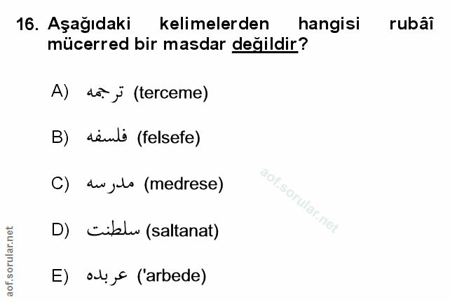 Soru 16