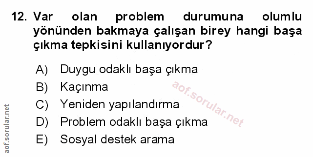Soru 12
