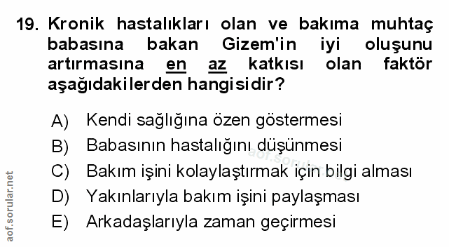 Soru 19