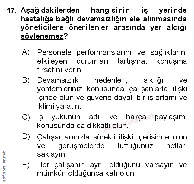 Soru 17