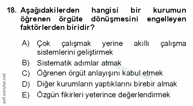 Soru 18