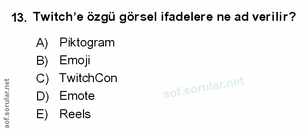 Soru 13