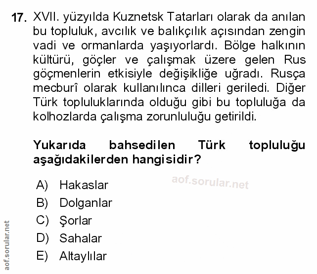 Soru 17