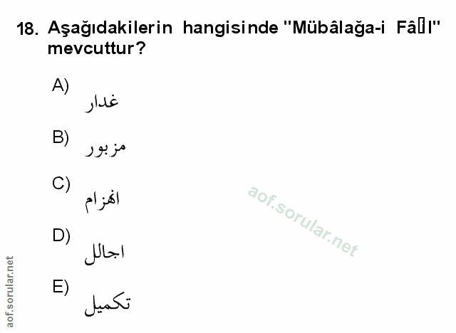 Soru 18