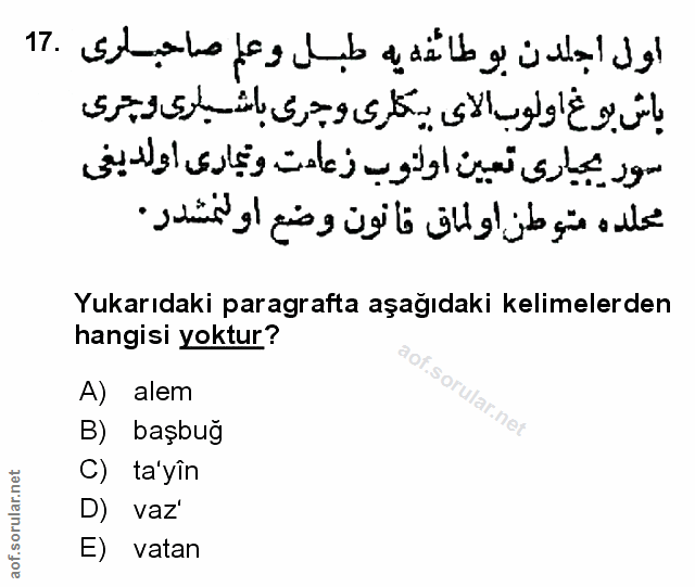 Soru 17