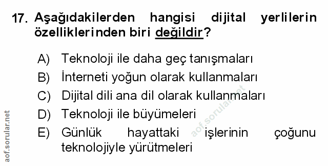 Soru 17