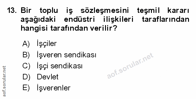 Soru 13