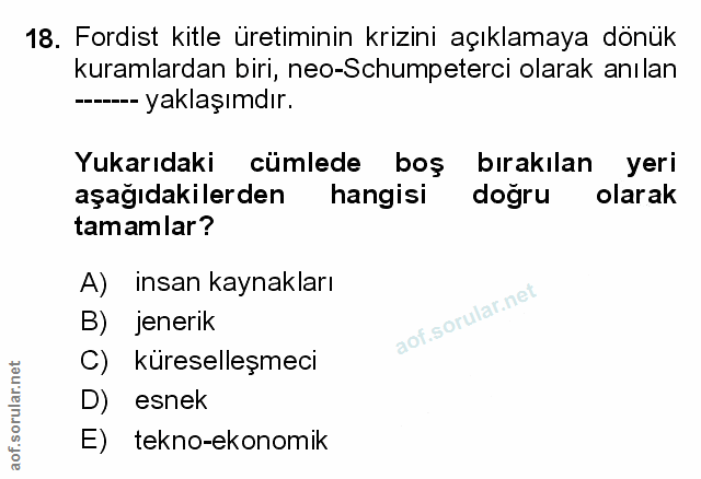 Soru 18