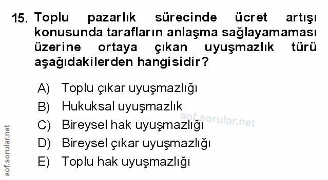 Soru 15