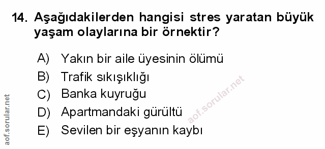 Soru 14