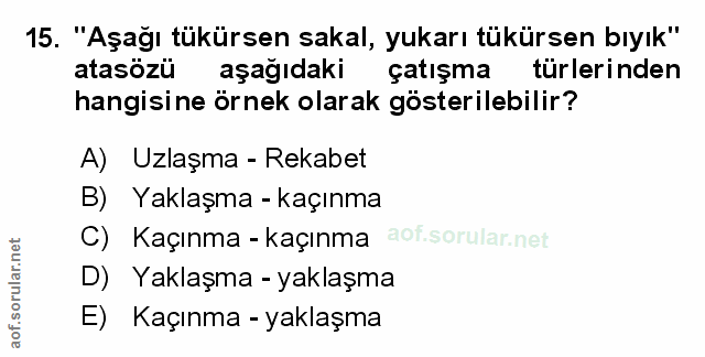 Soru 15