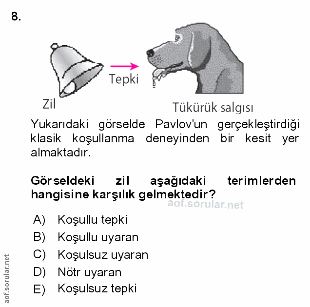 Soru 8