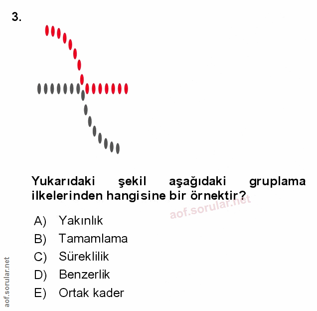 Soru 3
