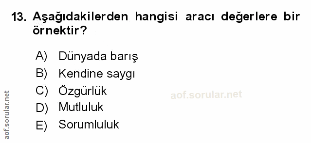 Soru 13