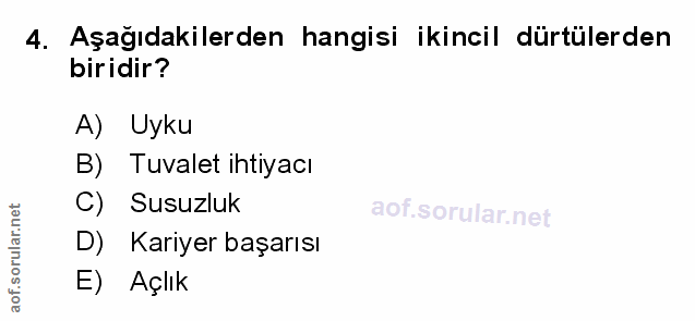 Soru 4